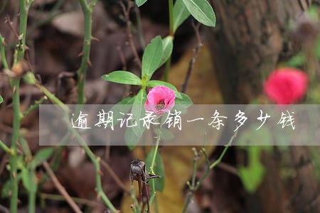 逾期记录销一条多少钱 逾期记录销一条多少钱