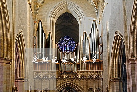 逾期记录非常多 逾期记录非常多