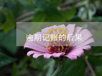 逾期记账的后果 逾期记账的后果