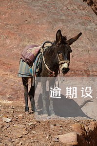逾期设置彩铃是真的吗 逾期设置彩铃是真的吗