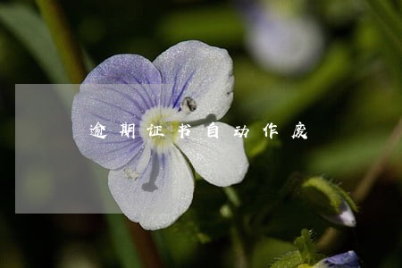 逾期证书自动作废 逾期证书自动作废