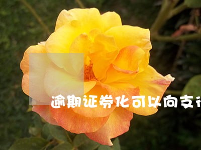 逾期证券化可以向支行协商么 逾期证券化可以向支行协商么