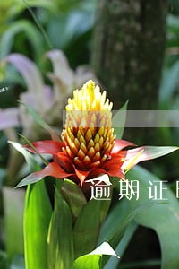 逾期证明什么意思 逾期证明什么意思