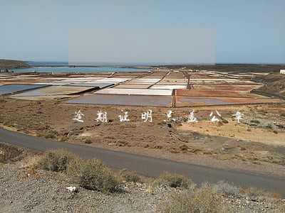 逾期证明只盖公章 逾期证明只盖公章