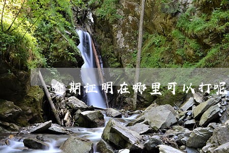 逾期证明在哪里可以打呢
