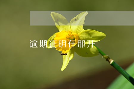逾期证明在那开 逾期证明在那开