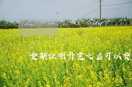 逾期证明开完之后可以贷款吗 逾期证明开完之后可以贷款吗