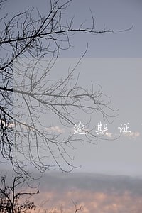 逾期证明怎么写票据 逾期证明怎么写票据