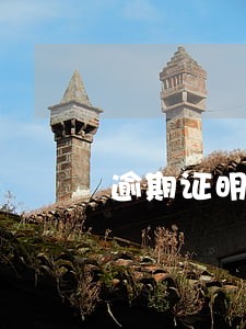 逾期证明提交后多久放款 逾期证明提交后多久放款
