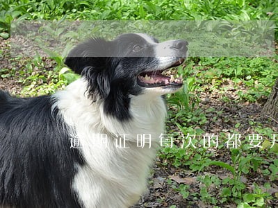 逾期证明每次的都要开吗