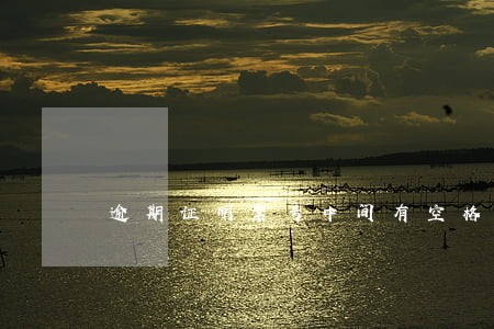 逾期证明票号中间有空格