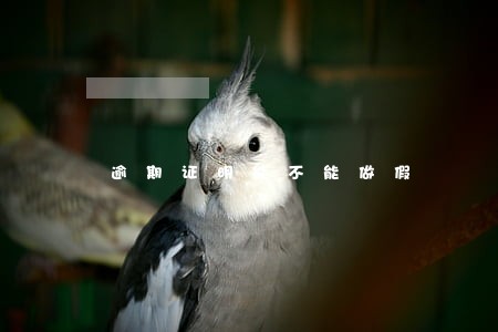 逾期证明能不能做假
