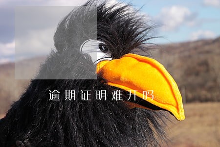 逾期证明难开吗