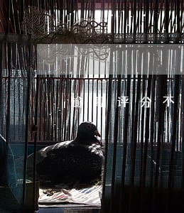 逾期评分不足可以在哪里借钱呢