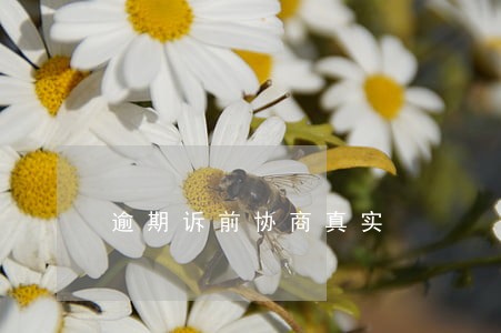 逾期诉前协商真实