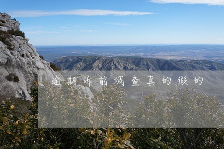 逾期诉前调查真的假的 逾期诉前调查真的假的