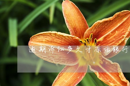 逾期诉讼多久才冻结银行卡 逾期诉讼多久才冻结银行卡