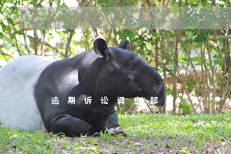 逾期诉讼调查部 逾期诉讼调查部