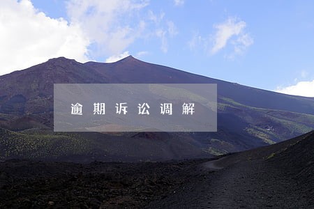 逾期诉讼调解 逾期诉讼调解