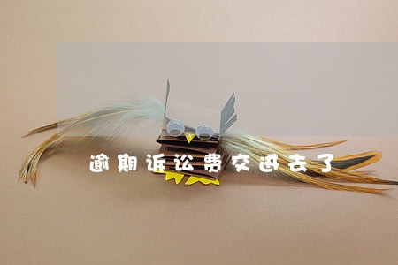 逾期诉讼费交进去了 逾期诉讼费交进去了