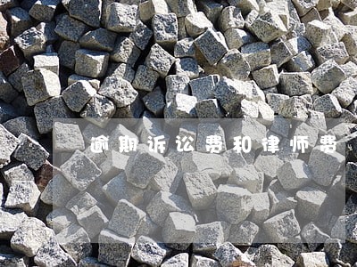 逾期诉讼费和律师费 逾期诉讼费和律师费