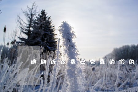 逾期诉讼费已交真的假的 逾期诉讼费已交真的假的