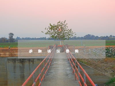逾期诉讼费用 逾期诉讼费用