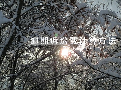 逾期诉讼费计算方法 逾期诉讼费计算方法