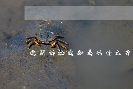 逾期诉讼通知是以什么方式发送 逾期诉讼通知是以什么方式发送