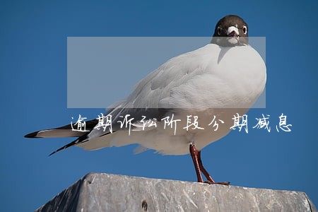 逾期诉讼阶段分期减息 逾期诉讼阶段分期减息