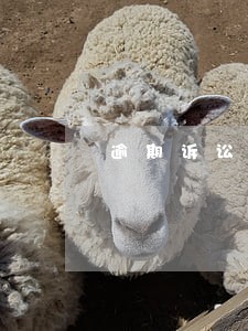 逾期诉讼项目专员 逾期诉讼项目专员