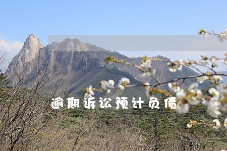 逾期诉讼预计负债 逾期诉讼预计负债