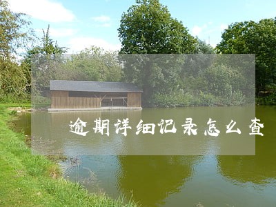 逾期详细记录怎么查 逾期详细记录怎么查