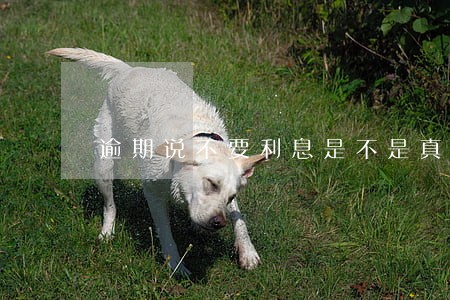 逾期说不要利息是不是真的 逾期说不要利息是不是真的