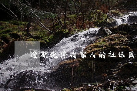 逾期说停我家人的社保医保 逾期说停我家人的社保医保