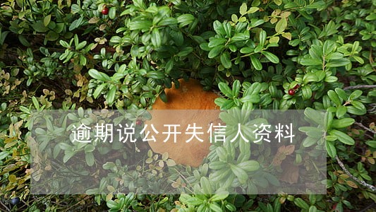 逾期说公开失信人资料 逾期说公开失信人资料
