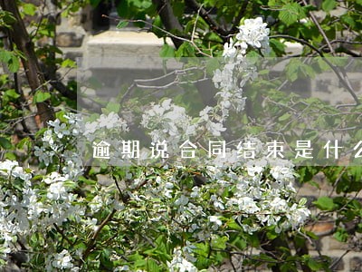 逾期说合同结束是什么意思 逾期说合同结束是什么意思