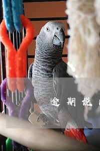 逾期说向户籍地申报网络追逃 逾期说向户籍地申报网络追逃