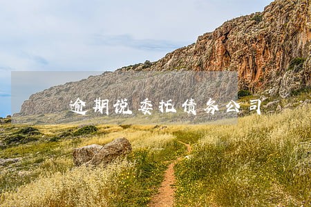 逾期说委托债务公司 逾期说委托债务公司