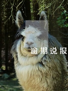 逾期说报案了 逾期说报案了