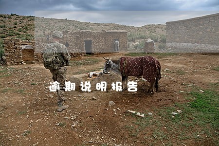 逾期说明报告 逾期说明报告