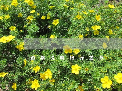 逾期说明银行盖章 逾期说明银行盖章