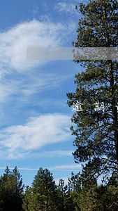 逾期说来抓是真的吗 逾期说来抓是真的吗