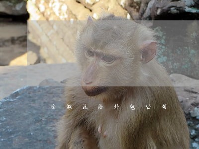 逾期说给外包公司 逾期说给外包公司