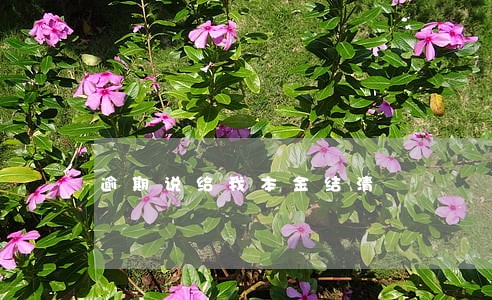 逾期说给我本金结清 逾期说给我本金结清