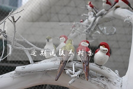 逾期说联系村委 逾期说联系村委