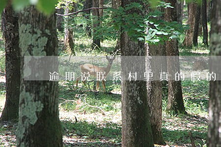 逾期说联系村里真的假的 逾期说联系村里真的假的