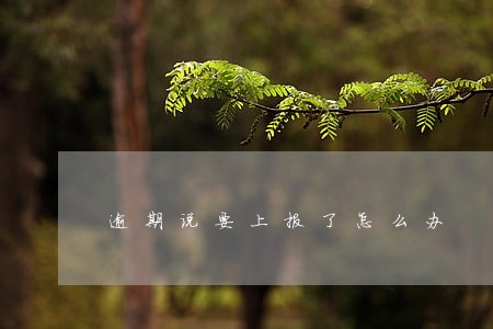 逾期说要上报了怎么办 逾期说要上报了怎么办