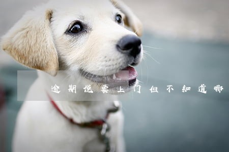 逾期说要上门但不知道哪个平台