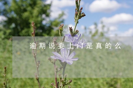 逾期说要上门是真的么